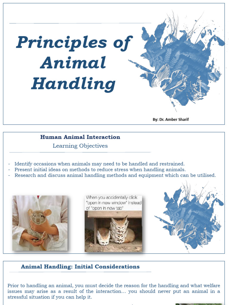 Handling Animals PDF Stress (Biology) Taxonomy (Biology)