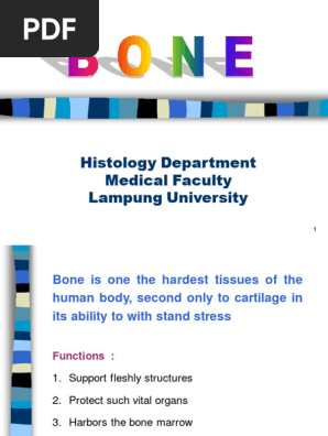 BONE