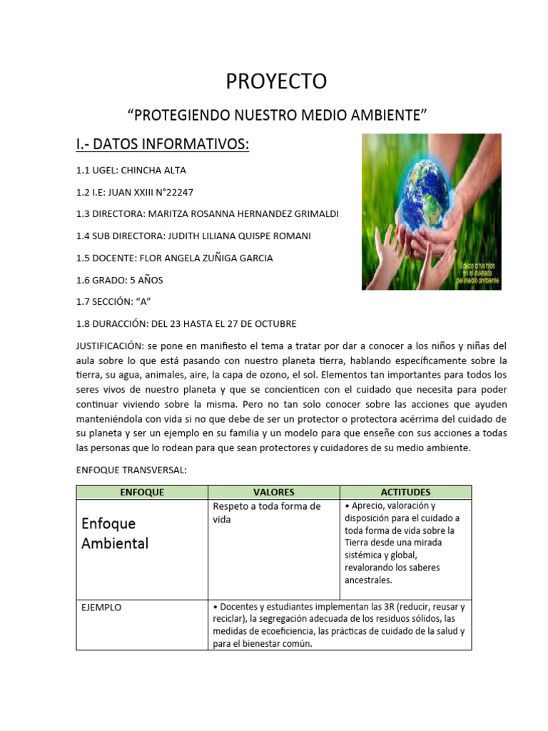 Proyecto Infantil: Cuidado del Medio Ambiente | PDF | Información ...