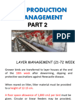 9 - Layer Production Part 2