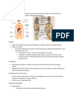 Endocrine System