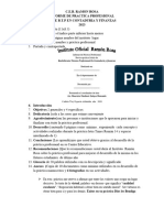 Pauta de Elaboracion Informe