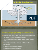 Angkut Air Pada Tumbuhan (Intravaskuler Dan Extravaskuler)