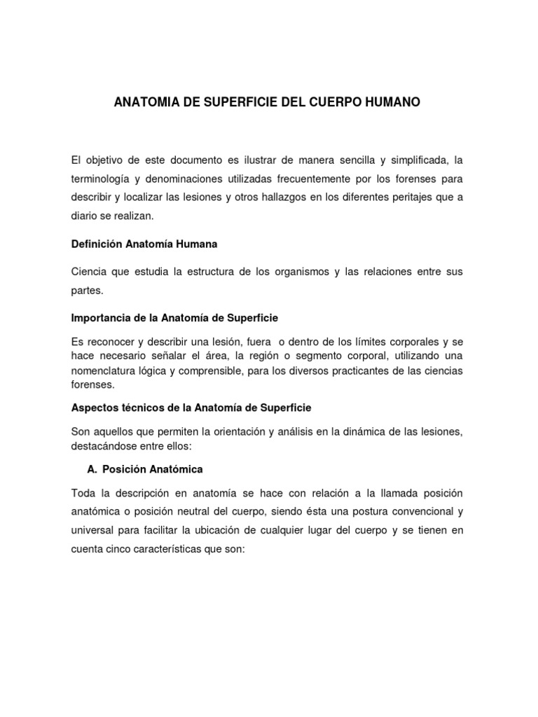 Anatomia de Superficie Del Cuerpo Humano | PDF | Términos anatómicos de ...
