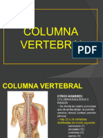 Columnaverteb