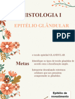 Tejido Glandular Practica