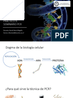 Seminario PCR