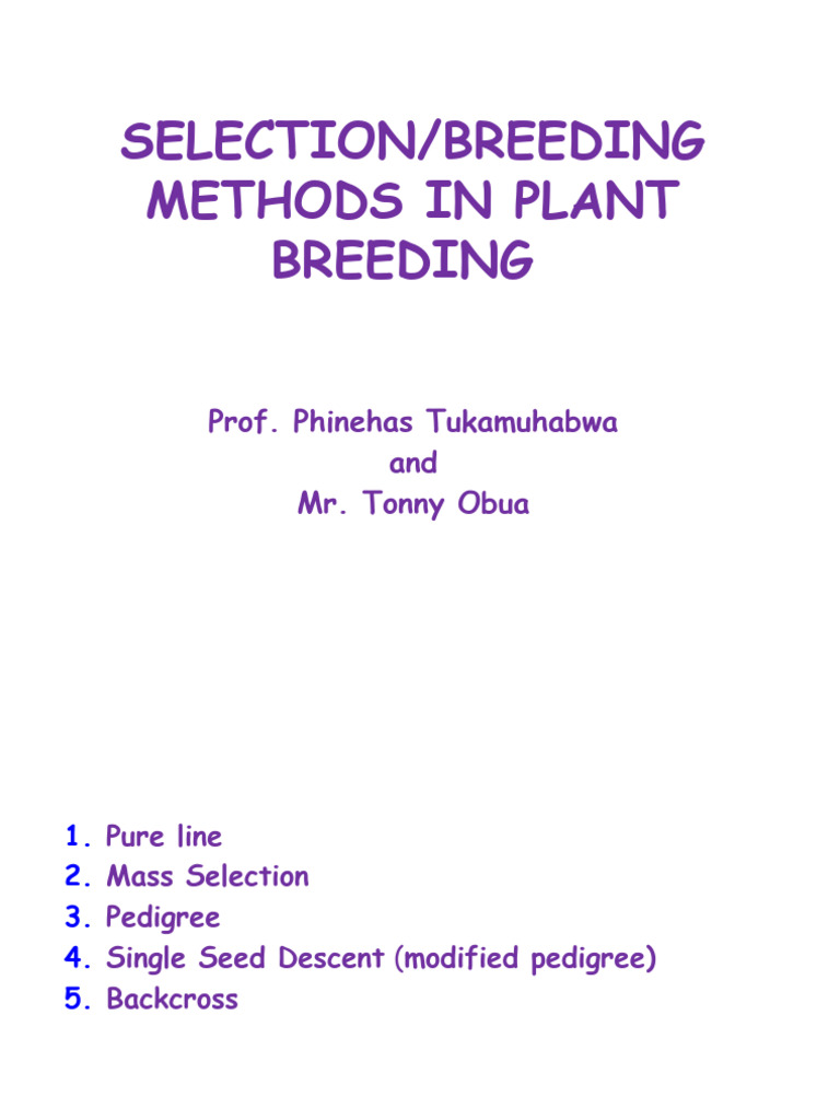 Selection Methods in Plant Breeding PDF Plant Breeding Natural Selection