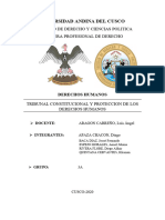 Tribunal Constitucional y Proteccion de Los DDHH