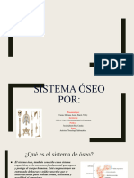 Sistema Óseo