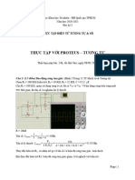 Dat Lo Ca2 T4 Proteus Analog