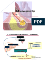 04 Biokemia GYTK Lipid 2014