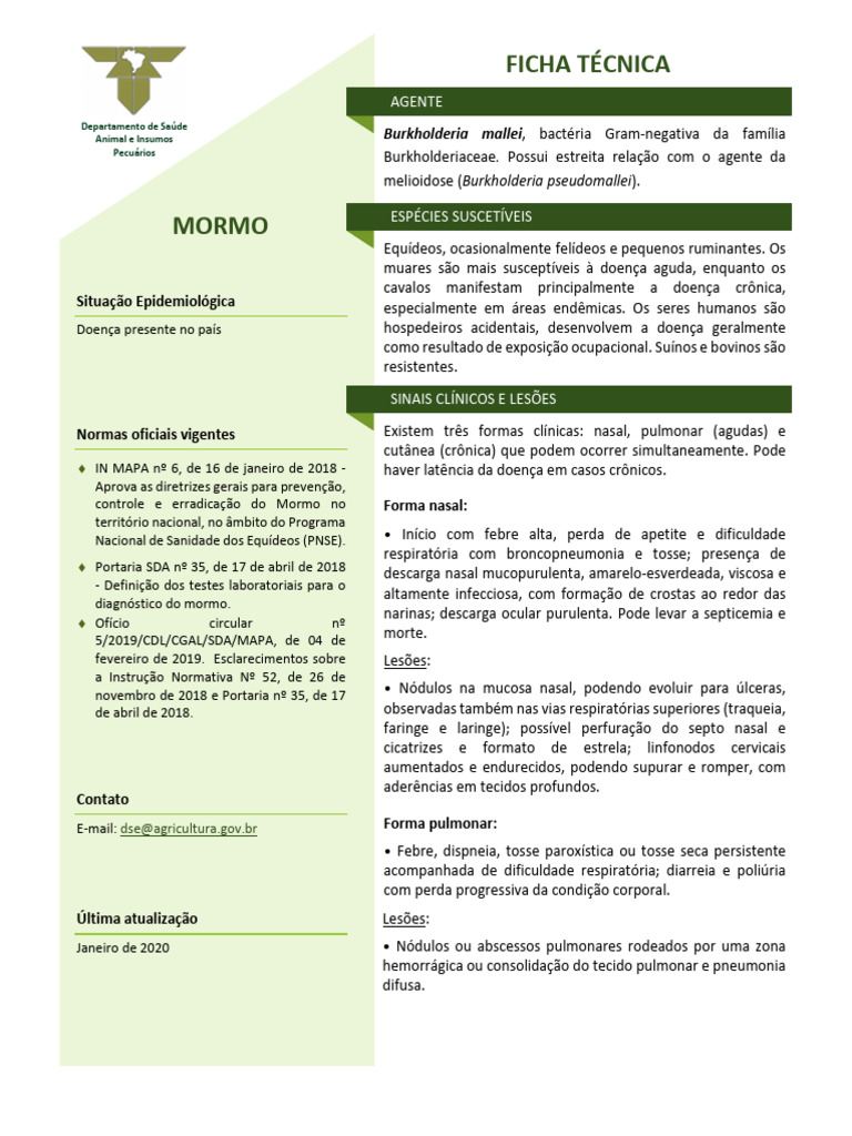 Mormo: Sintomas, Diagnóstico e Vigilância | PDF | Elisa | Sistema linfático