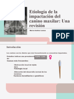 Etiología de La Impactación Del Canino Maxilar - Una Revisión