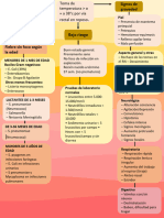 Flujograma Síndrome Febril