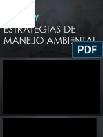 Pama y Etsrategias de Manejo Ambiental