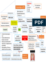 Fisiopatología A La TBC