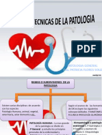 Tema 2 Ramas de La Patologia