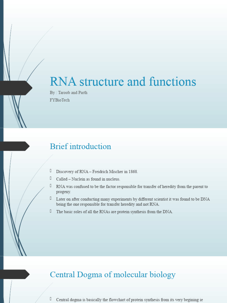 RNA Structure and Functions PDF Rna Nucleic Acids