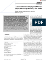 Particle Hydrogels Decrease Cerebral Atrophy and Attenuate Astrocyte and Microglia Macrophage Reactivity After Stroke