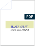 Brugia Malayi
