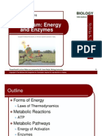 Metabolism: Energy and Enzymes: Biology