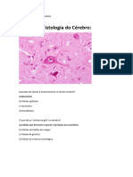 Atividade Histologia