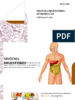 Aula 018 - Sistema Digestorio - Introducao