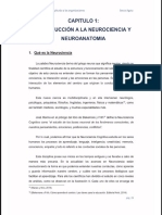 PDF Libro