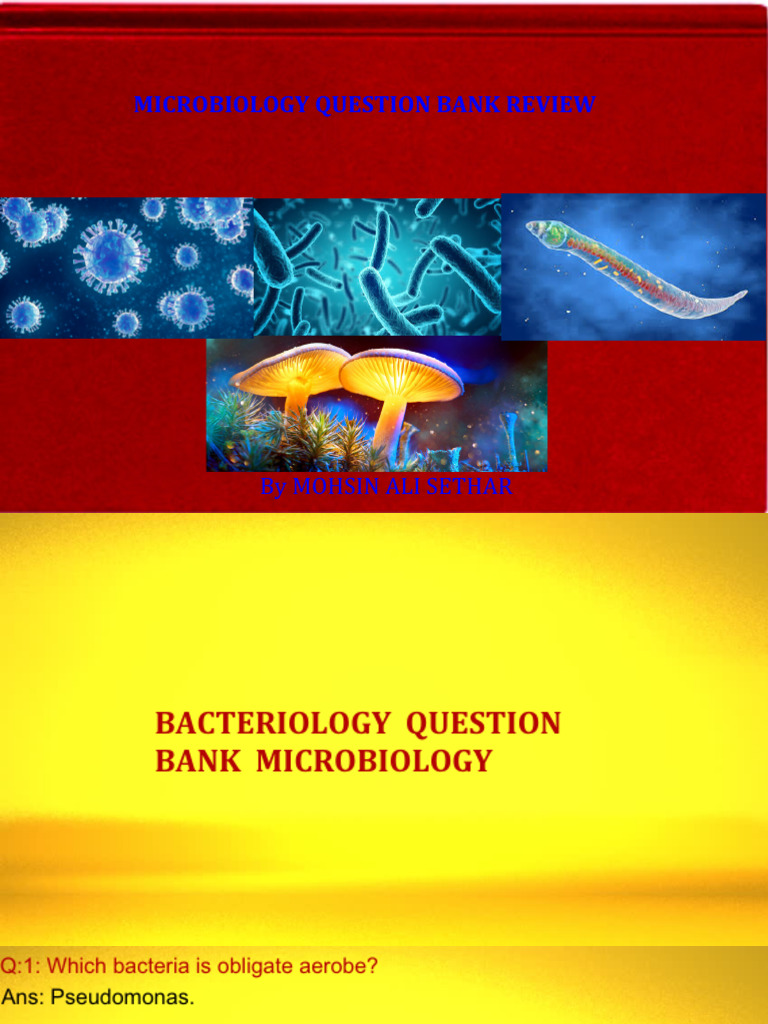 Microbiology Question Bank Review PDF Streptococcus Bacteria