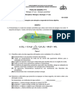 FT 6 Nutrição Autotrófica