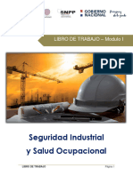 Manual SISO - Modulo I - Capitulo Agentes Contaminantes