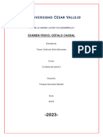 Examen Cefalo Caudal - Sofia Torres