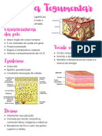 Sistema Tegumentar