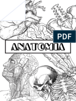 Portfólio Anatomia