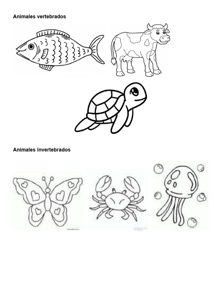 Animales Vertebrados para Colorear | PDF