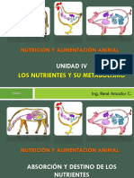 ZO-632-Unidad IV - Los Nutrientes y Su Metabolismo