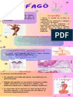 Infografía Guía Pasos para Mejorar La Autoestima Doodle Pastel Verde y Rosa