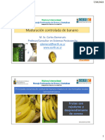 Maduracion Controlada de Bananos