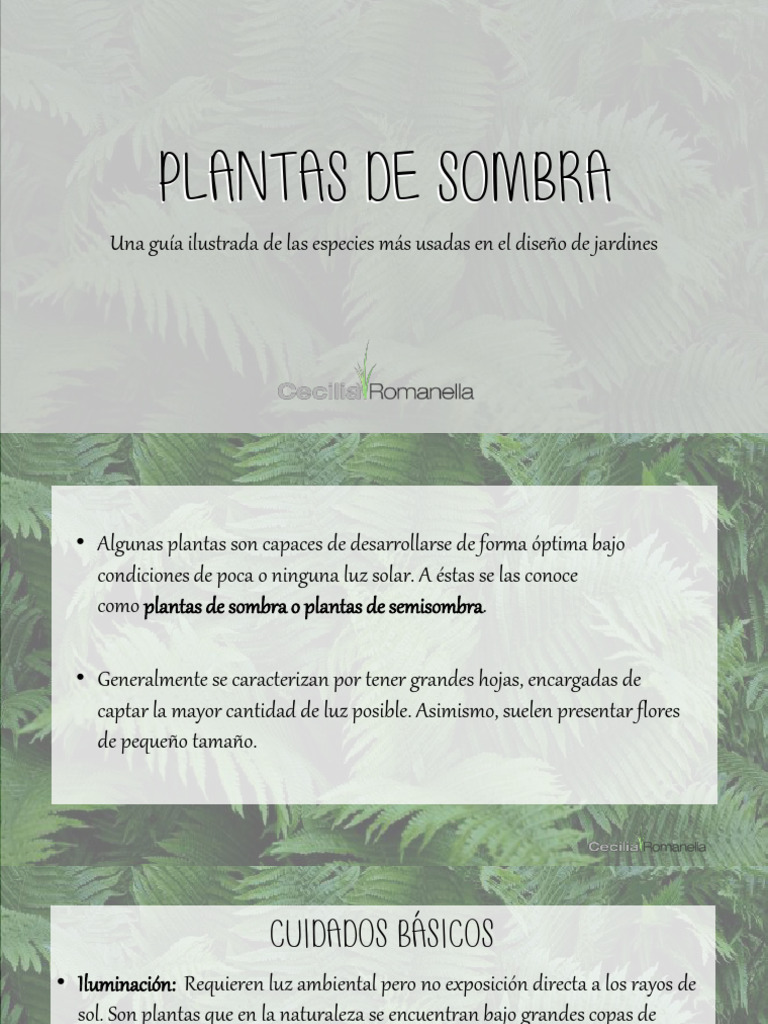 Guía de Plantas para Sombra Total | PDF