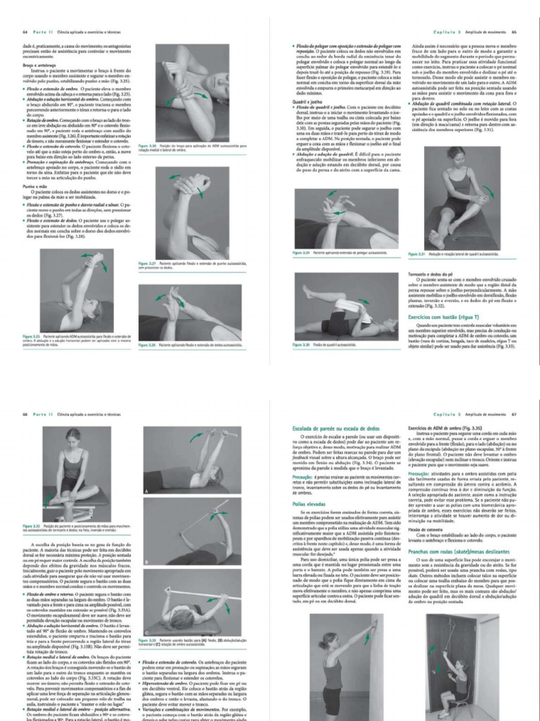 Exercicios terapeuticos pdf