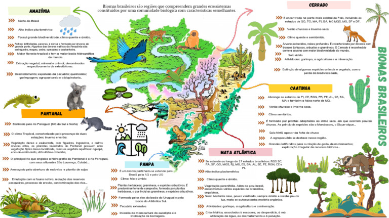 Mapa Mental - 4º Bimestre Geografia | PDF | Floresta Amazônica ...