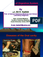 Diseases of The Oral Cavity and Stomatitis Ali Sadiek Assiut