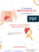 Hepatocarcinoma Oncologia