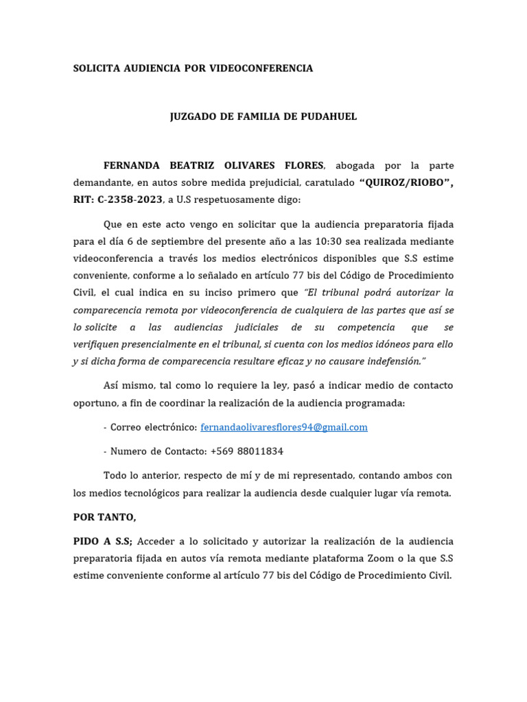 Solicitud Audiencia Por Videoconferencia Pdf