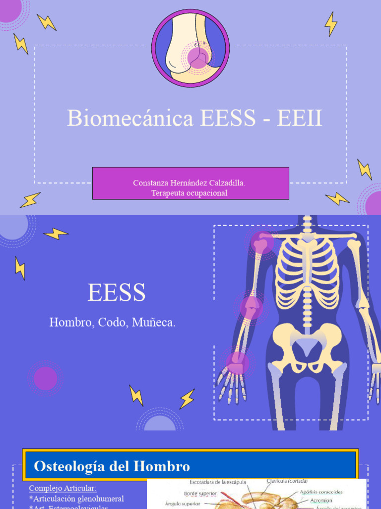 Biomecanica | PDF