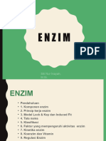Enzim - Edit