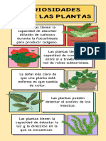 Curiosidades Sobre Las Plantas