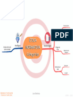 Etica Normativa Categorias