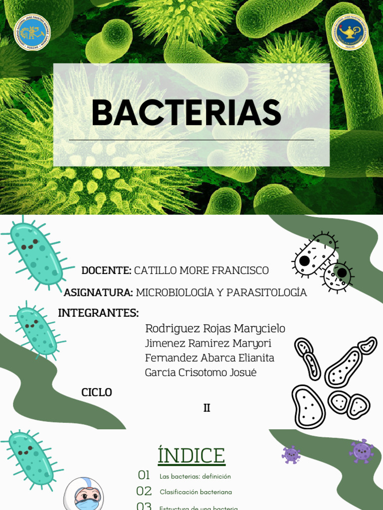 Enfermedades y Clasificación de Bacterias | PDF | Las bacterias ...